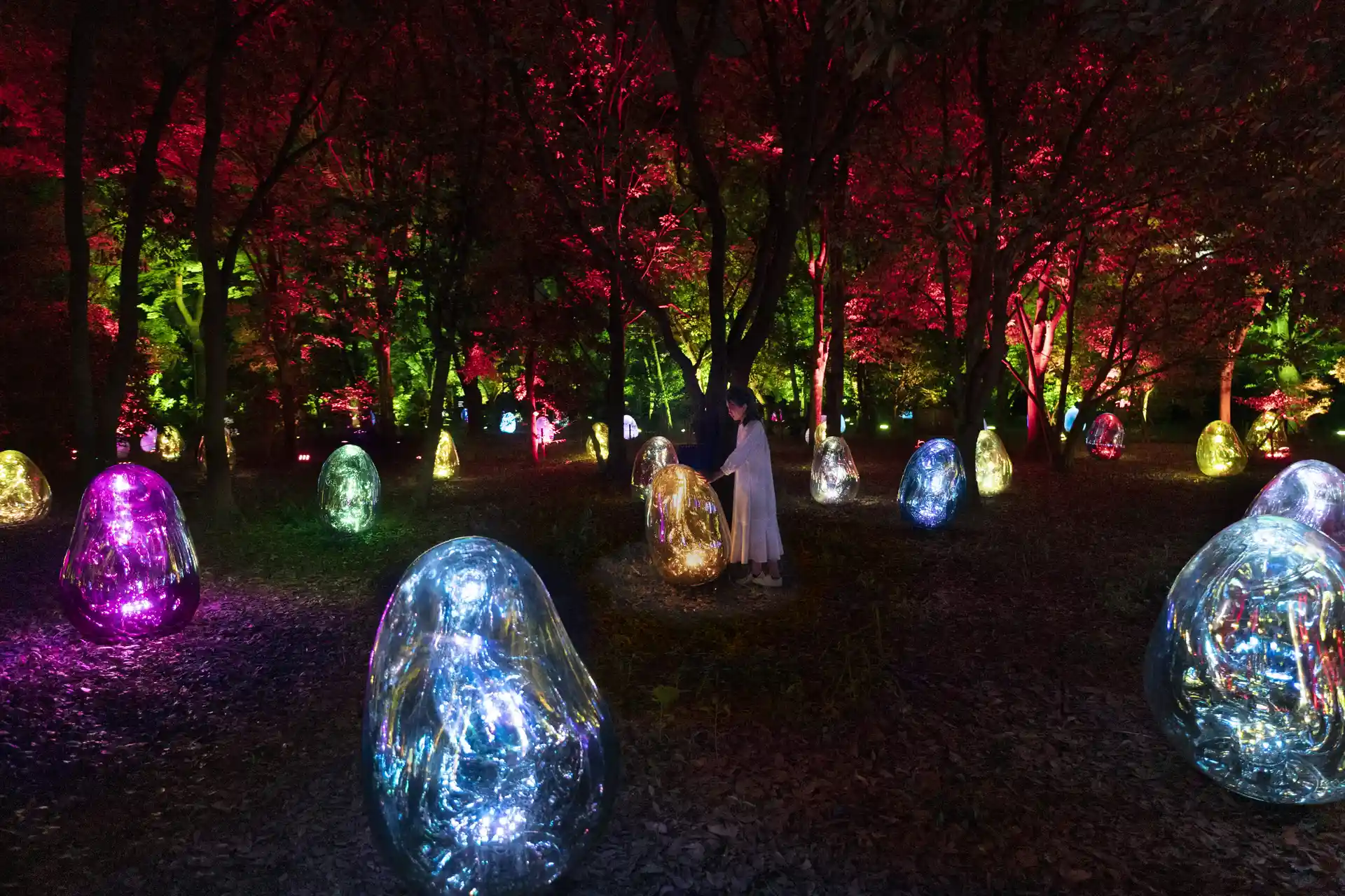 scène nocturne dans une forêt illuminée par des lumières colorées. Des arbres aux troncs et branches éclairés en rouge, vert et d'autres couleurs créent une atmosphère magique. Au premier plan, plusieurs grandes sphères transparentes et colorées, éclairées de l'intérieur, sont disposées sur le sol. Deux personnes se tiennent au milieu de ces sphères, ajoutant une échelle humaine à la scène. Les reflets des lumières sur les sphères et les arbres créent un effet visuel captivant et féerique.