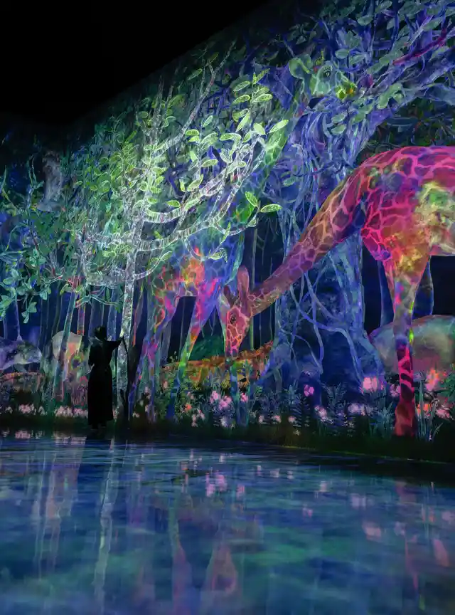 scène nocturne avec des arbres et des animaux illuminés par des lumières colorées. On peut voir des girafes et d'autres animaux, ainsi que des arbres aux feuilles vertes et aux branches bleutées. Les reflets des lumières se reflètent dans l'eau en bas de l'image, créant une atmosphère magique et féerique. Les couleurs vives et variées, allant du vert au bleu en passant par le rose et le violet, ajoutent à la beauté de la scène.